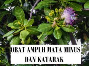 obat rabun jauh