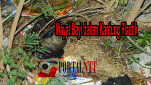 mayat-bayi